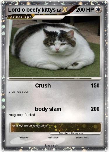 Pokemon Lord o beefy kittys