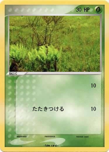 Pokemon 