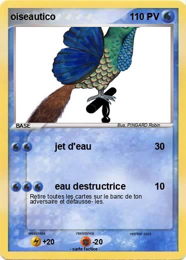 Pokemon oiseautico