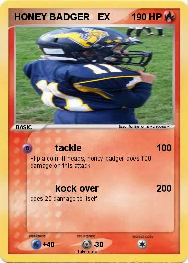 Pokemon HONEY BADGER   EX