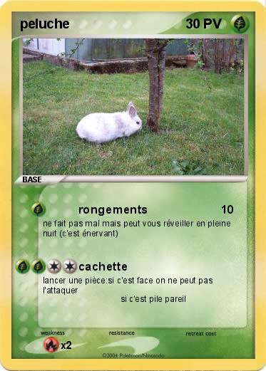 Pokemon peluche