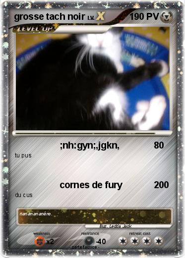 Pokemon grosse tach noir