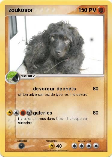 Pokemon zoukosor