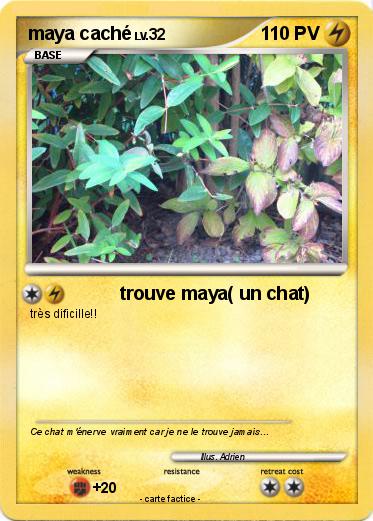 Pokemon maya caché