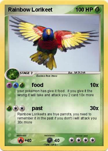 Pokemon Rainbow Lorikeet