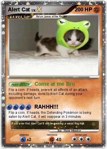 Pokemon Alert Cat