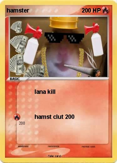 Pokemon hamster