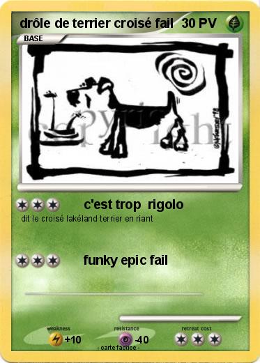 Pokemon drôle de terrier croisé fail