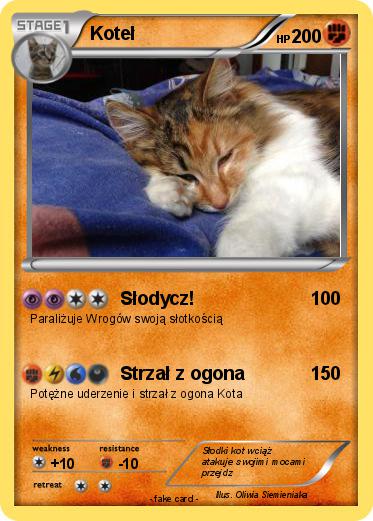 Pokemon Koteł