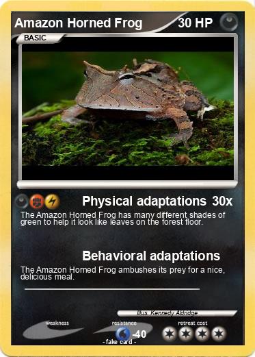Pokemon Amazon Horned Frog