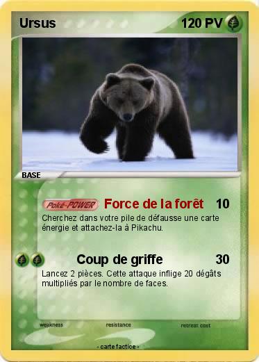 Pokemon Ursus