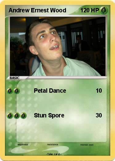 Pokemon Andrew Ernest Wood
