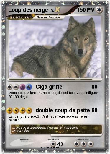 Pokemon Loup des neige