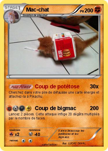 Pokemon Mac-chat