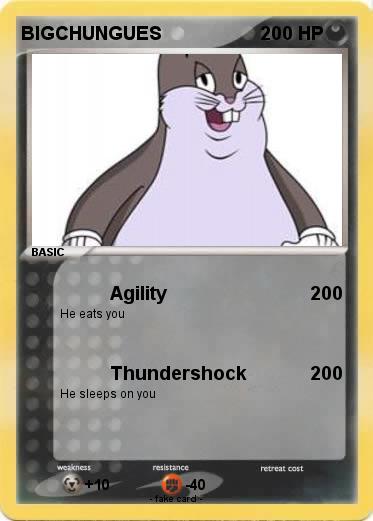 Pokemon BIGCHUNGUES