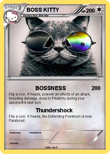Pokemon BOSS KITTY