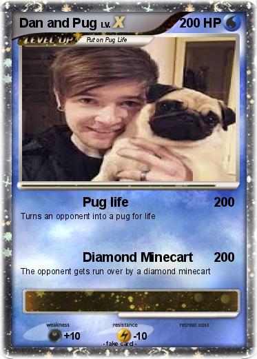 Pokemon Dan and Pug