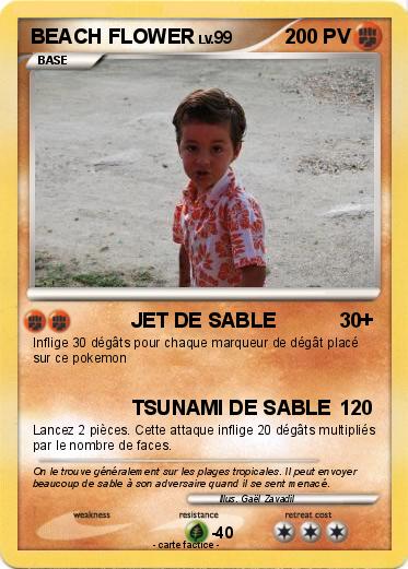 Pokemon BEACH FLOWER