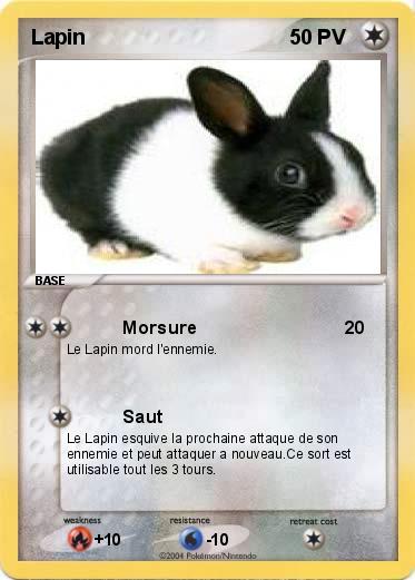 Pokemon Lapin