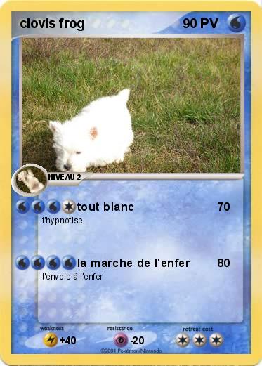 Pokemon clovis frog