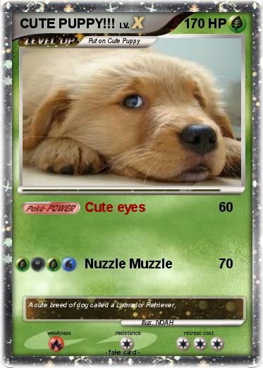 Pokemon CUTE PUPPY!!!