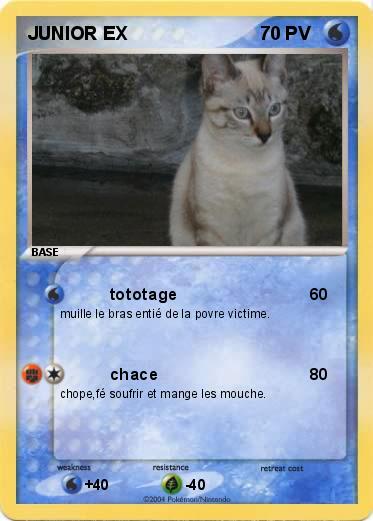Pokemon JUNIOR EX