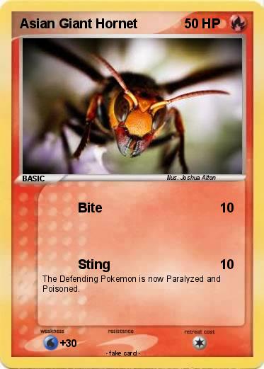 Pokemon Asian Giant Hornet
