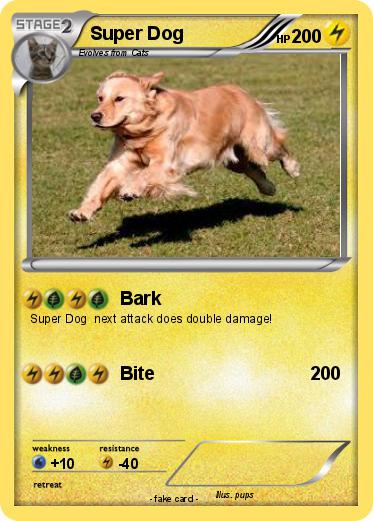 Pokemon Super Dog