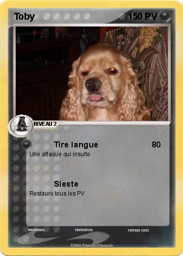 Pokemon Toby