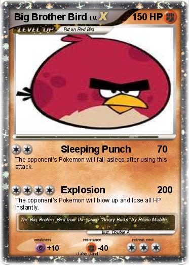 Pokemon Big Brother Bird