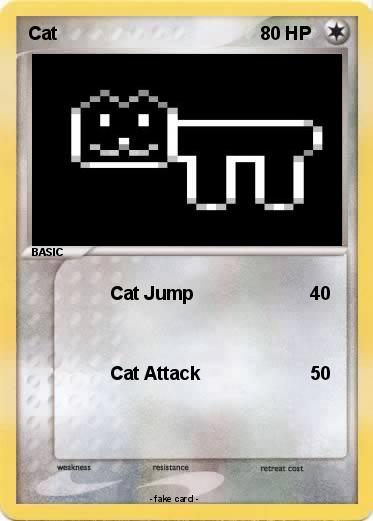 Pokemon Cat