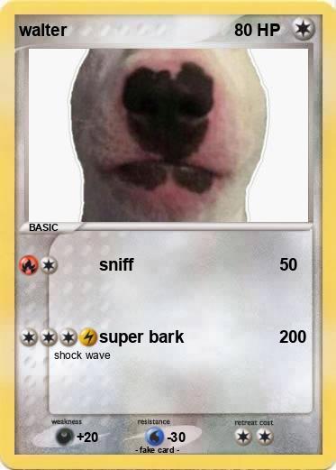 Pokemon walter