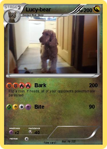 Pokemon Lucy-bear