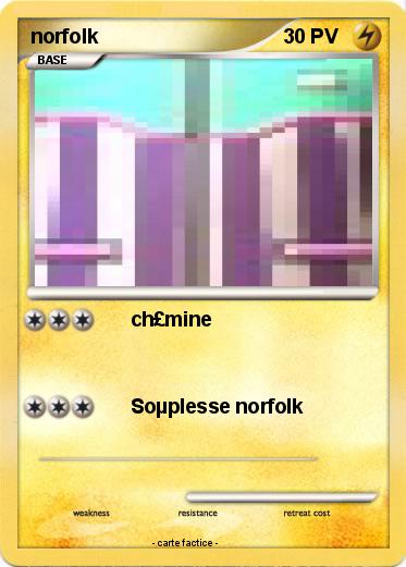 Pokemon norfolk