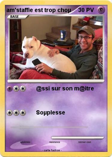 Pokemon am'staffie est trop choµ