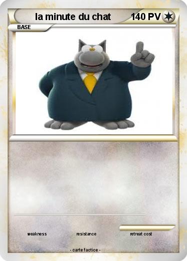 Pokemon la minute du chat