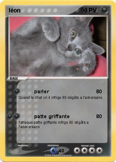 Pokemon léon