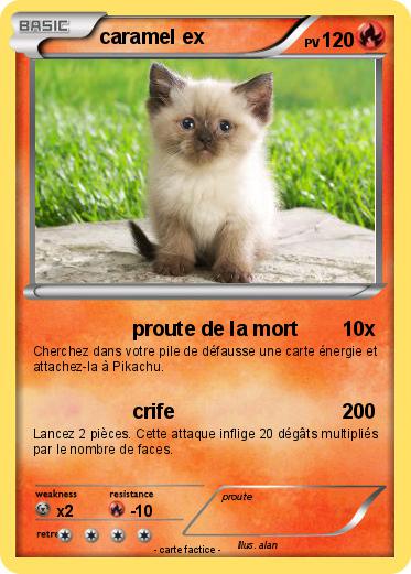 Pokemon caramel ex