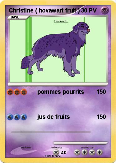 Pokemon Christine ( hovawart fruit )