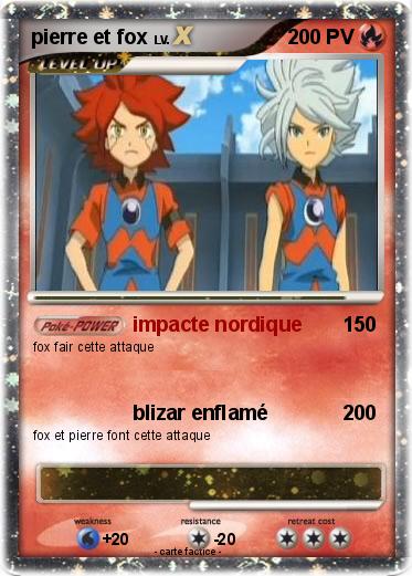 Pokemon pierre et fox