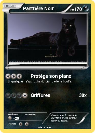 Pokemon Panthère Noir