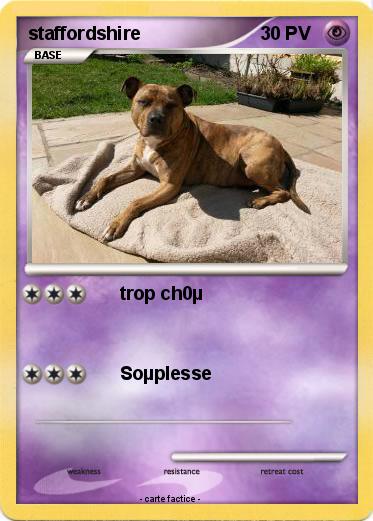 Pokemon staffordshire