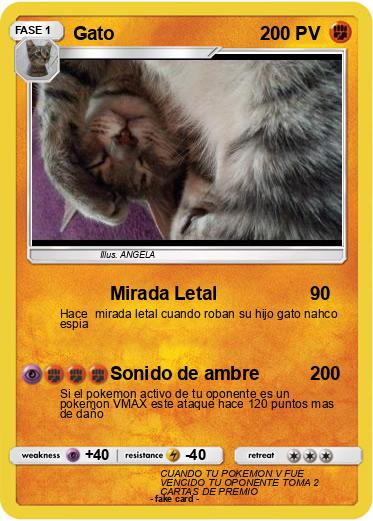 Pokemon Gato