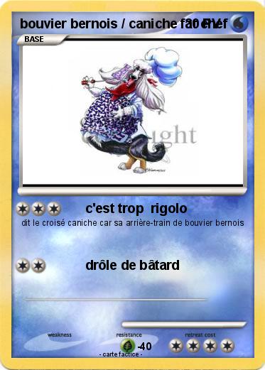 Pokemon bouvier bernois / caniche fat chef