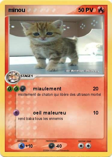 Pokemon minou