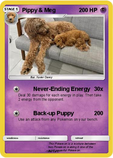 Pokemon Pippy & Meg
