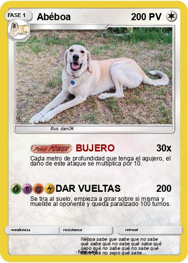 Pokemon Abéboa