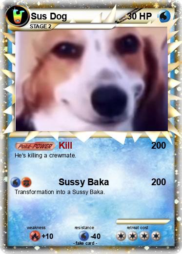 Pokemon Sus Dog