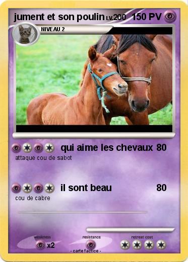 Pokemon jument et son poulin