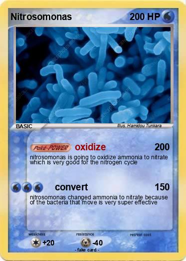 Pokemon Nitrosomonas